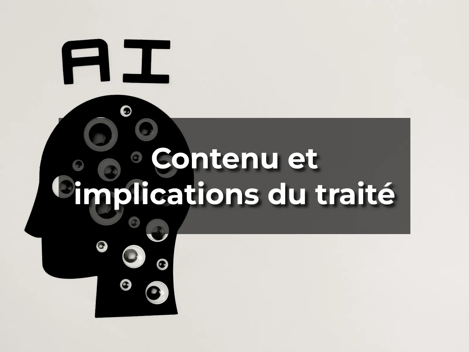 Contenu et implications du traité