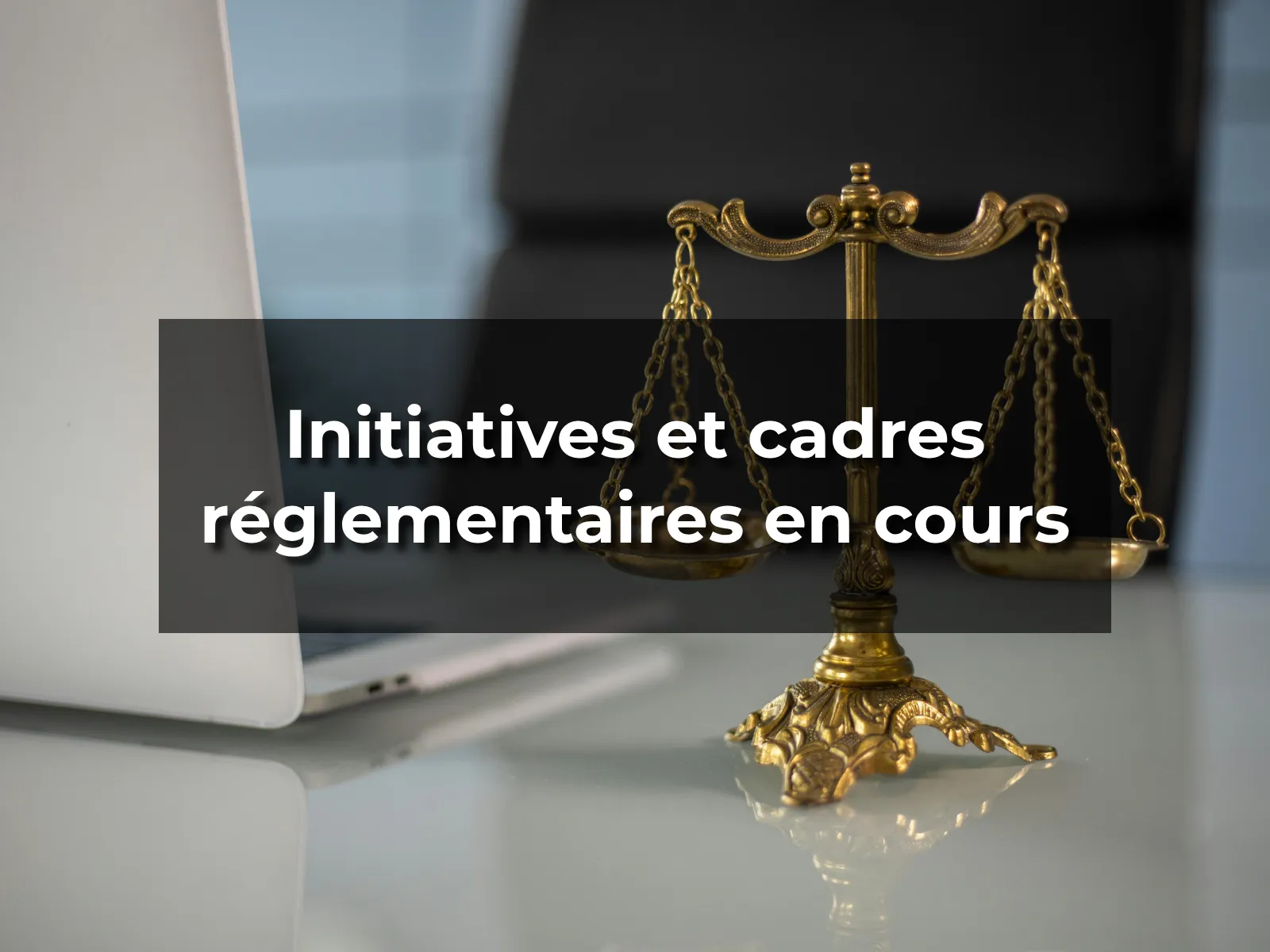 Initiatives et cadres réglementaires en cours