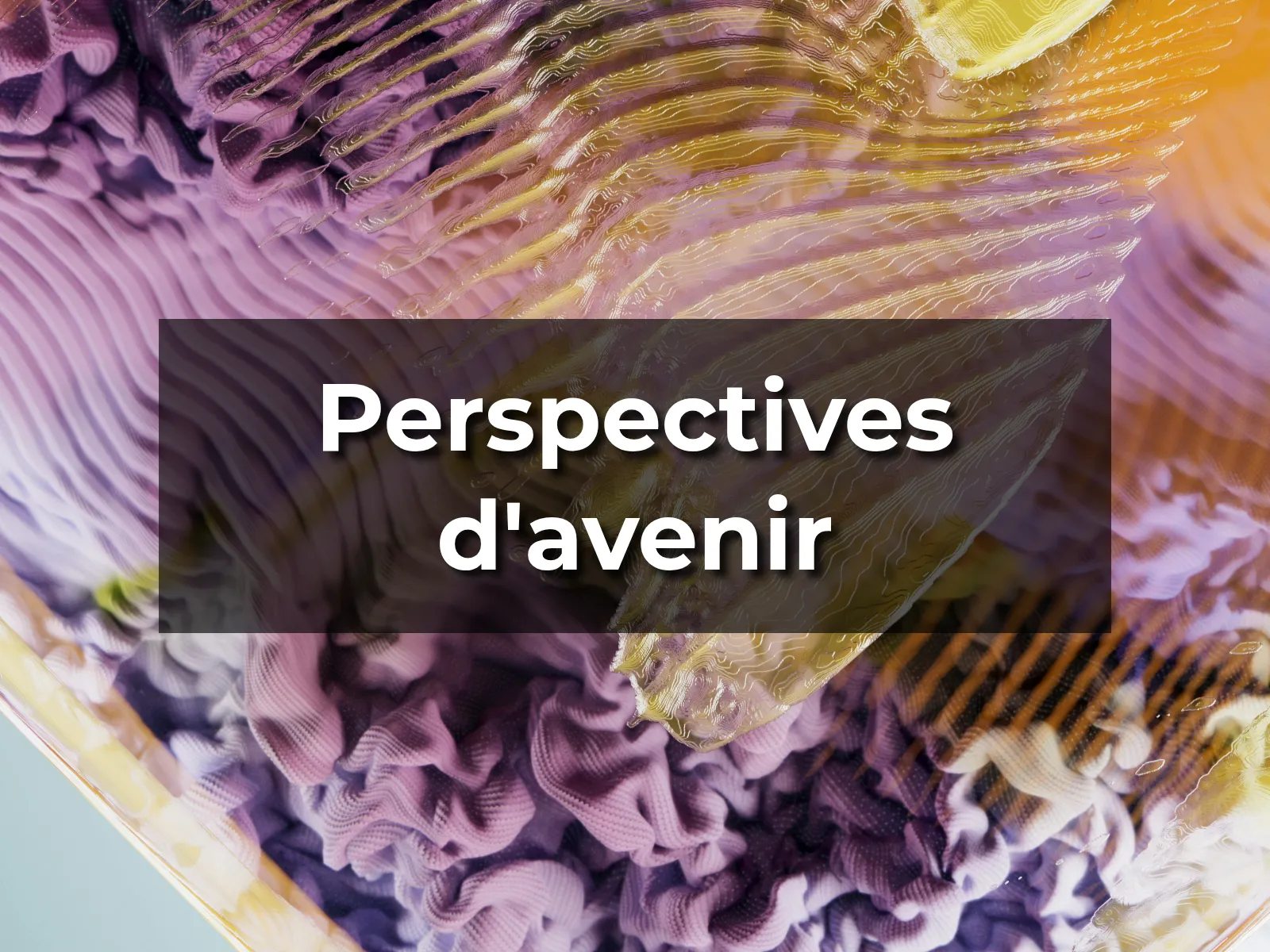 Perspectives d'avenir