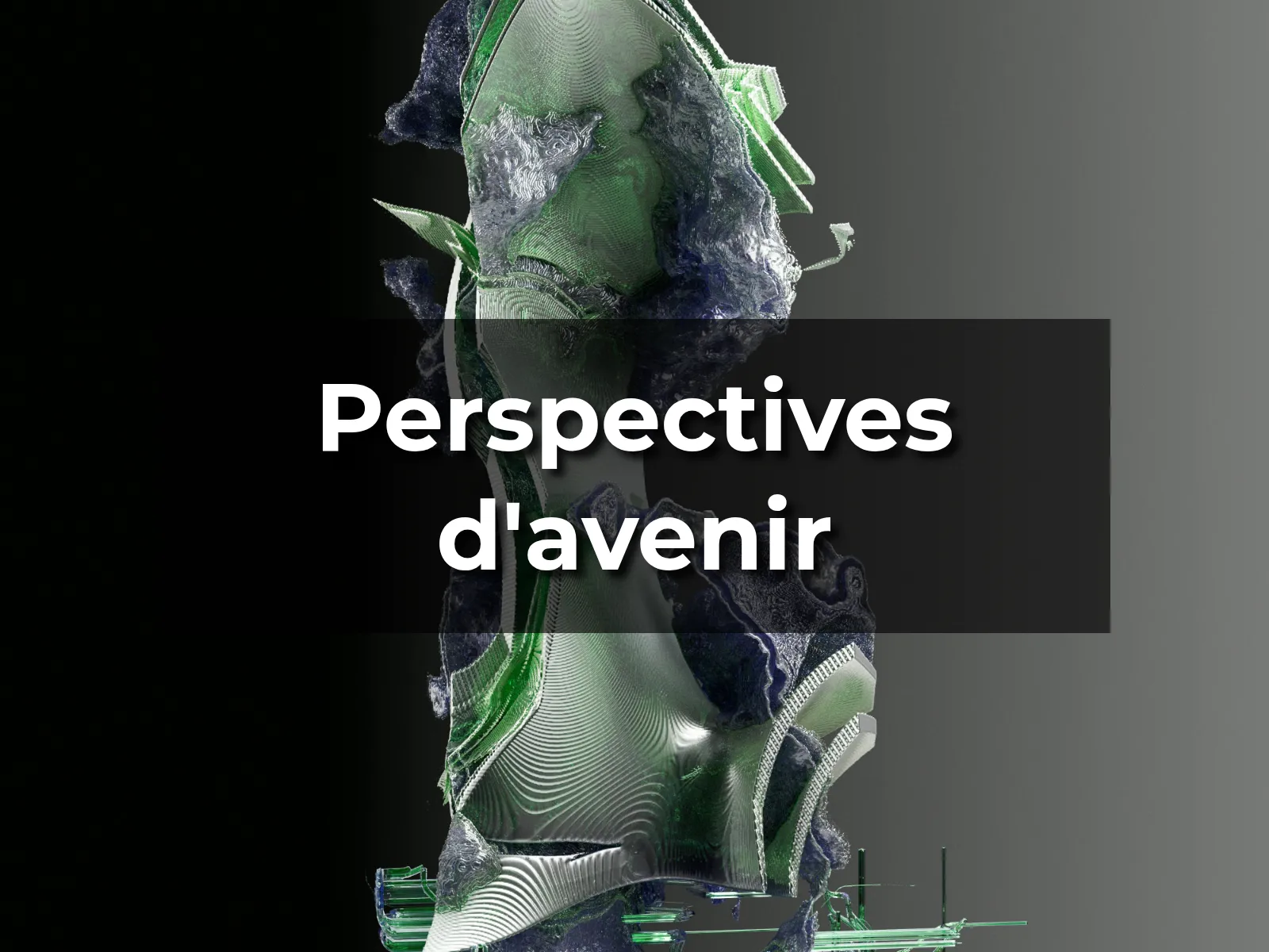 Perspectives d'avenir